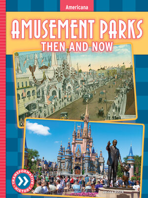 cover image of Amusement Parks